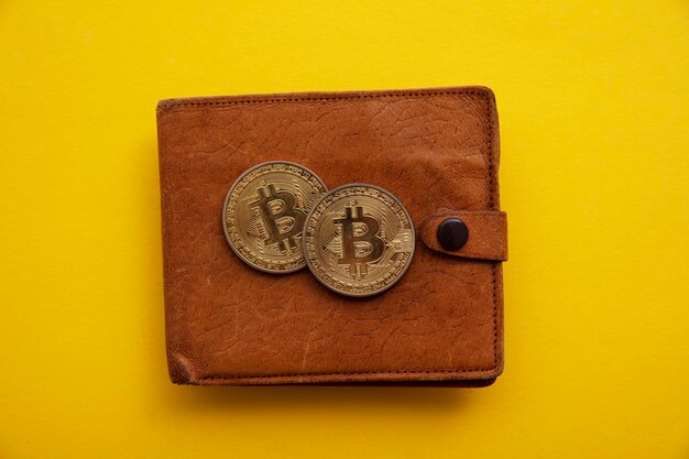 Brązowy skórzany portfel na kryptowaluty z koncepcją cyfrowego finansowania bitcoin ze złotą monetą