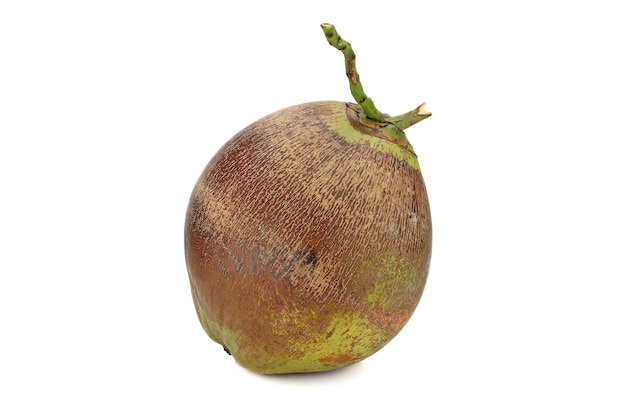 Brązowy stary owoc kokosa na białym tle