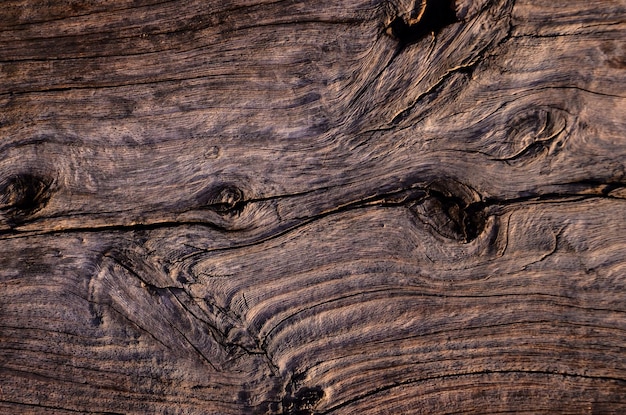 Brązowy suchy wzór tekstury powierzchni drewna