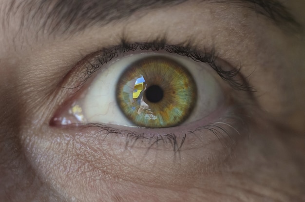 Brazylijska Kobieta Zielone Oczy