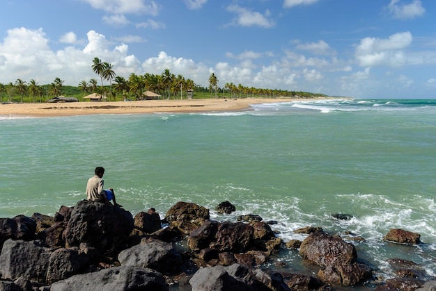 Brazylijska plaża i angrove na plaży Barra de Camaratuba w pobliżu Joao Pessoa Paraiba Brazylia