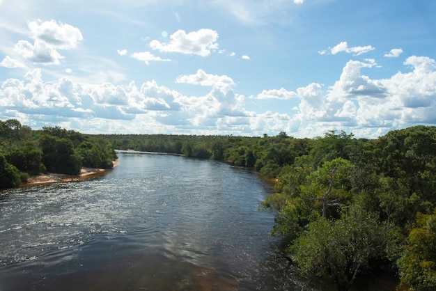 Brazylijski krajobraz cerrado z rzeką Tocantins