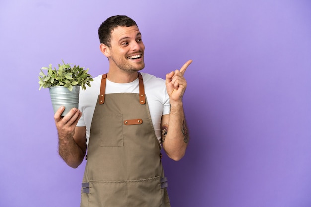 Brazylijski ogrodnik mężczyzna trzymający roślinę na izolowanym fioletowym tle, zamierzający zrealizować rozwiązanie, podnosząc palec w górę