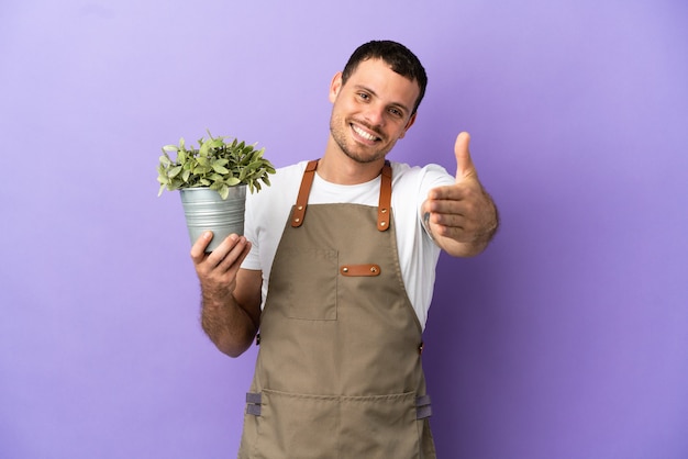 Brazylijski ogrodnik mężczyzna trzymający roślinę na odosobnionym fioletowym tle, ściskający dłonie, aby zamknąć dobrą ofertę