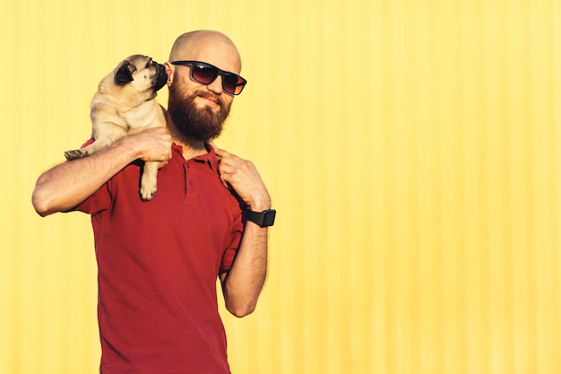 Brodaty facet w okularach przeciwsłonecznych trzyma szczeniaka mopsa na ramionach na tle żółtej ściany Pies liże ucho właściciela Koncepcja stylu życia Skopiuj miejsce