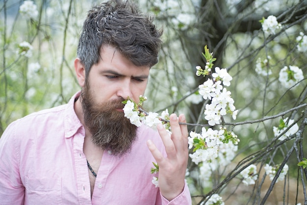 Zdjęcie brodaty mężczyzna w pobliżu kwitnącej wiśni. hipster wącha kwiat wiśni. koncepcja wiosennego nastroju.