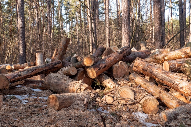 Brogująca łupka w stosu outdoors zakończeniu.