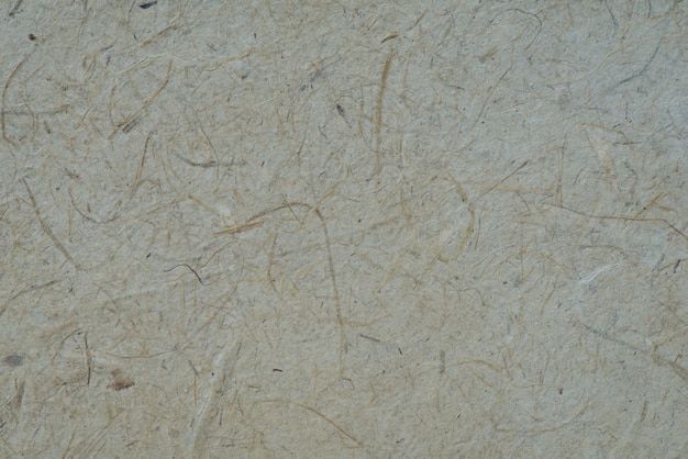 Brown papier przetwarza dla tła i textured