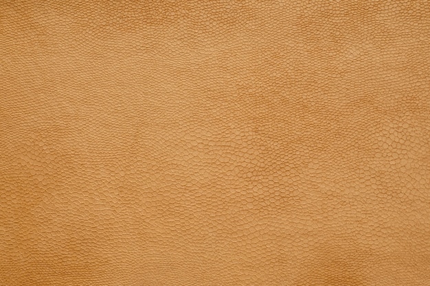 Brown Stara Skóra Textured Tło, Moda Projekt