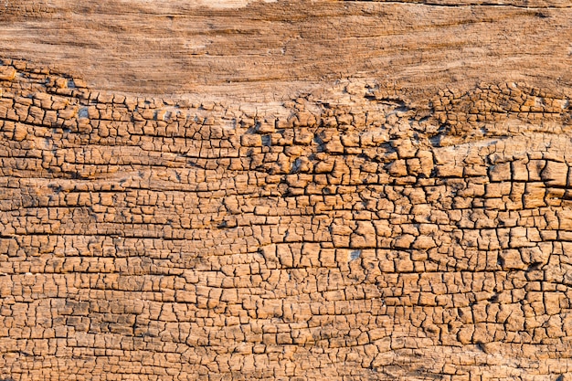 Brown szorstki drewniany textured tło. Widok z góry koncepcji.