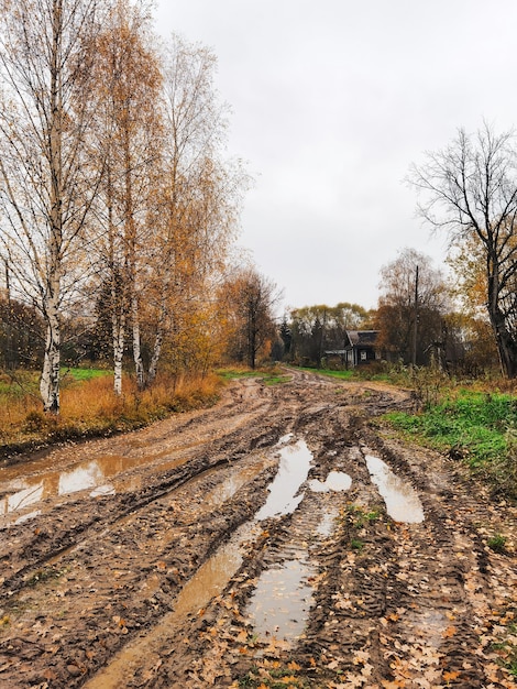 Zdjęcie brudna droga we wsi. mijanie przeszkód. samochód może utknąć w błocie. jesień, rosja.