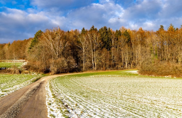 Brudna ścieżka wśród zimowego pola w pochmurny mroźny śnieżny dzień