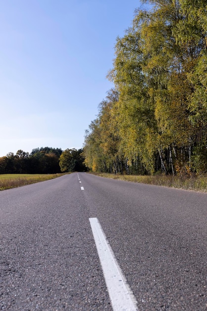 Brukowana droga w sezonie jesiennym przy słonecznej pogodzie autostrada z drzewami rosnącymi na poboczu drogi podczas opadania liści