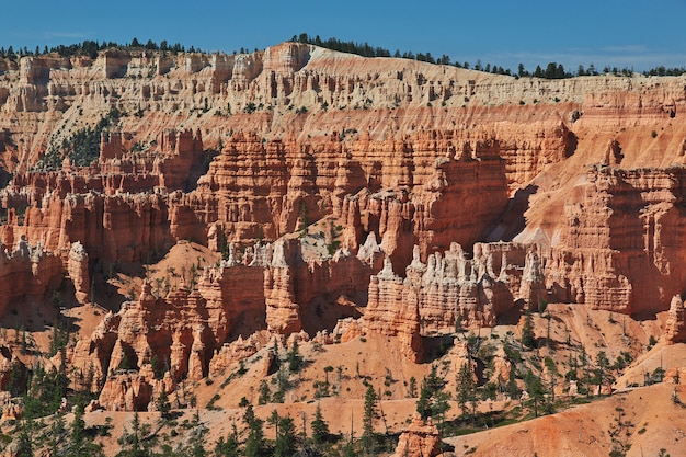 Bryce Canyon w stanie Utah, USA