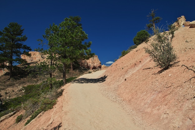Zdjęcie bryce canyon w stanie utah, usa