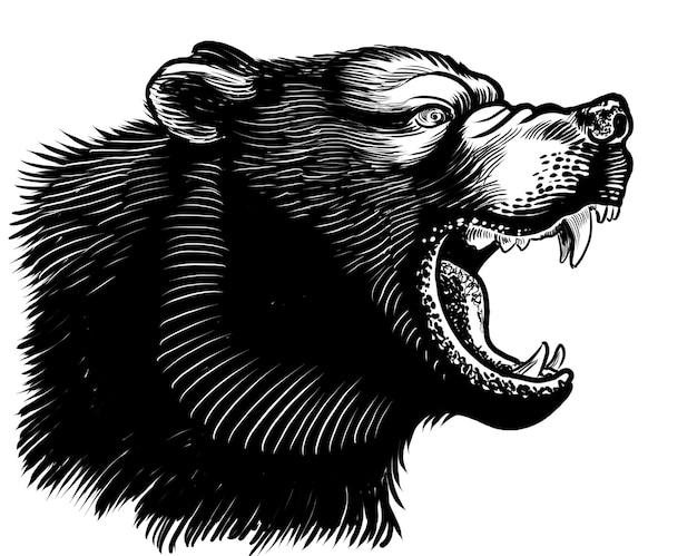 Brzęczący niedźwiedź Ręcznie narysowana ilustracja czarno-biała