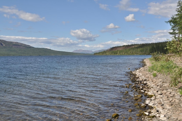 Brzeg jezior na płaskowyżu Putorana Letni krajobraz wodny z kamieniami na brzegu na pierwszym planie
