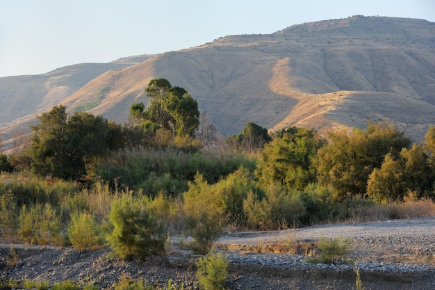 Brzeg jeziora Kinneret rano