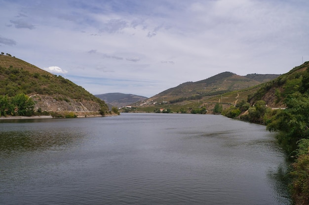 Brzeg rzeki Douro Porto Portugalia