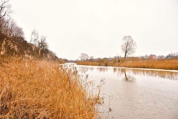 Brzeg rzeki z żółtą suchą trawą, jesienna rzeka, jesienny krajobraz, sucha trawa