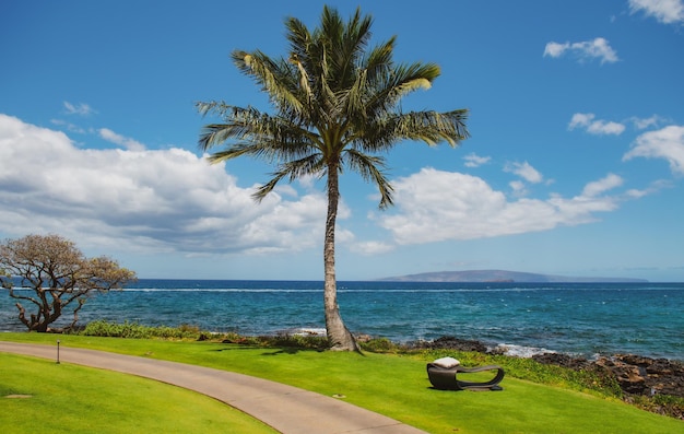 Brzeg sen spokój malowniczy krajobraz widok na plażę na hawajskiej wyspie Maui