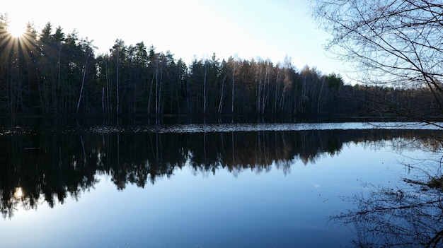 Brzeg wolno płynącej rzeki z widokiem na las o zachodzie słońca