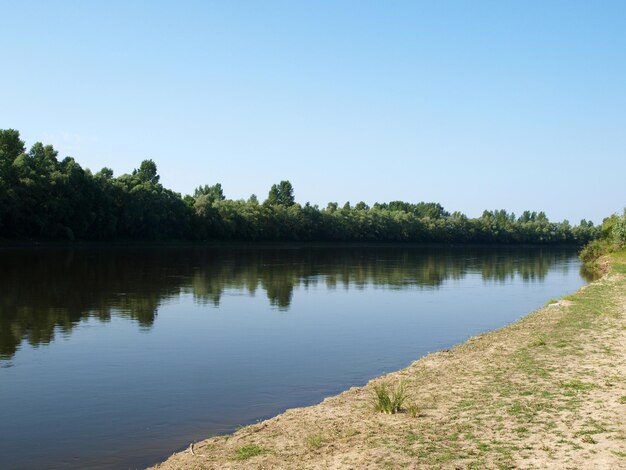 Zdjęcie brzegi rzeki