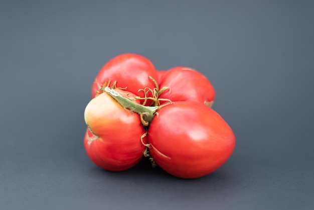 Brzydki pomidor na ciemnym tle Brzydka koncepcja jedzenia