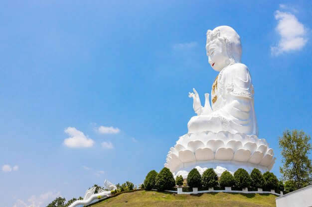 Budda Kuan Yin na niebie