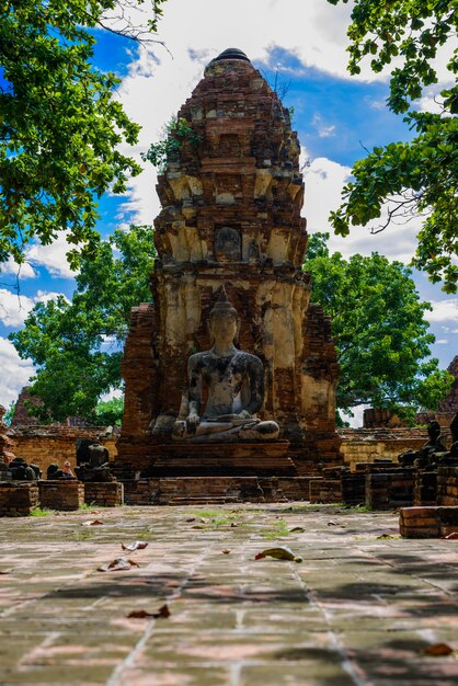 Budda, Piękne Starożytne Miejsce W Wat Maha, że Ayutthaya Jako światowego Dziedzictwa Unesco, Tajlandia