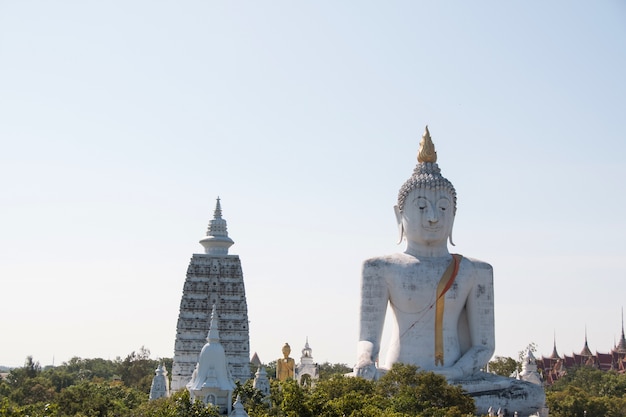 Buddha statua w świątyni suphanburi Tajlandia