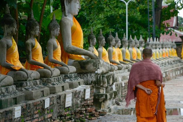 Buddowie w Ayutthaya, Tajlandia