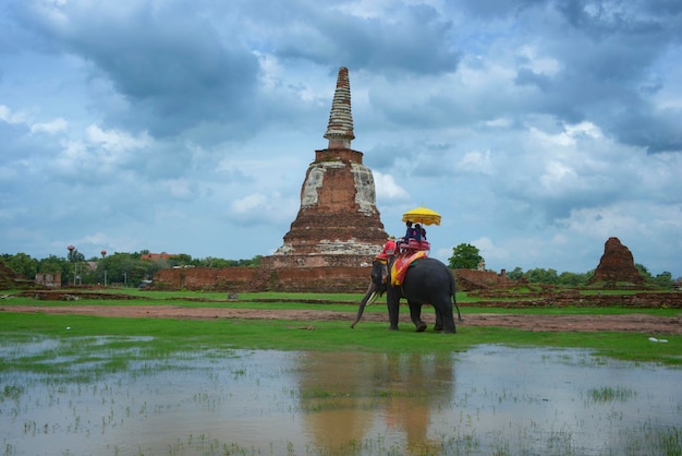 Buddowie w Ayutthaya, Tajlandia