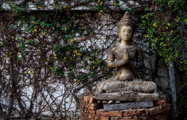 Buddyzm dla posągów lub modeli portretu Buddy