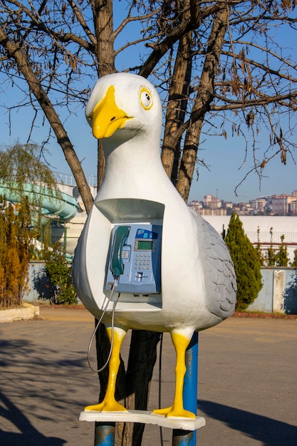 Zdjęcie budka telefoniczna budka telefoniczna w kształcie mewy