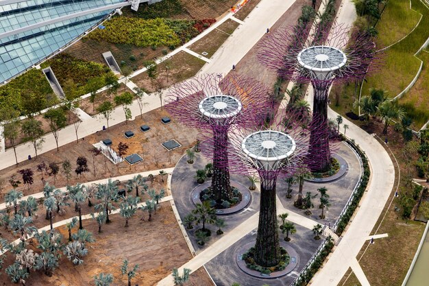 Budowa nowych ogrodów botanicznych w Singapurze