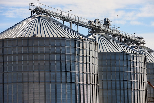 Budynek Do Przechowywania I Suszenia Zbóż Silos Rolniczy