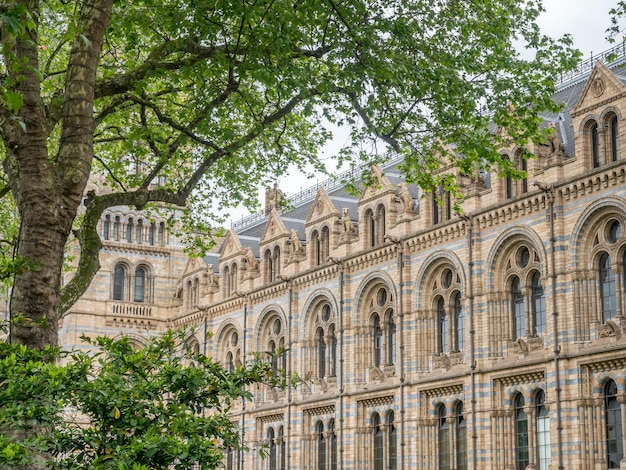 Budynek Muzeum Historii Naturalnej W Londynie W Anglii