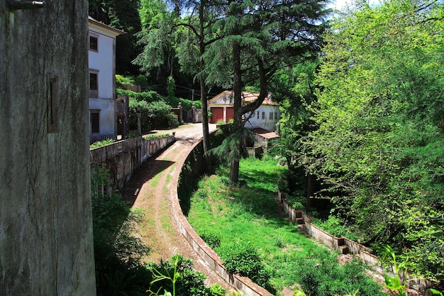 Budynek w mieście Sintra Portugalia