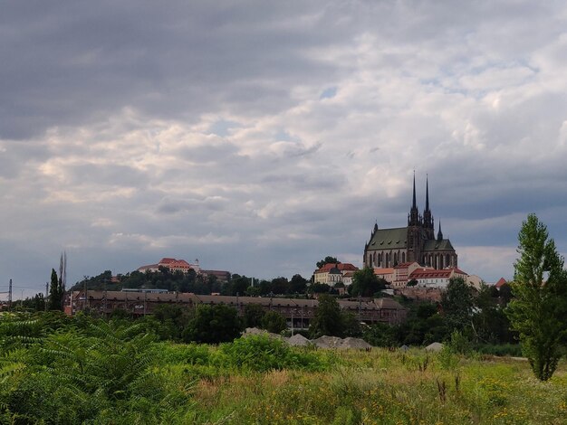 Zdjęcie budynki na tle nieba