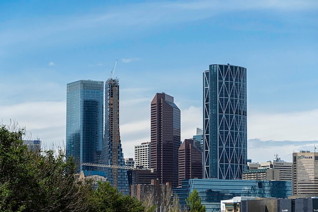 Budynki panoramę centrum dzielnicy biznesowej Calgary City