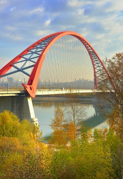 Bugrinsky Bridge na Ob Łukowy most drogowy z Bugrinskaya Grove Park Nowosybirsk Syberia