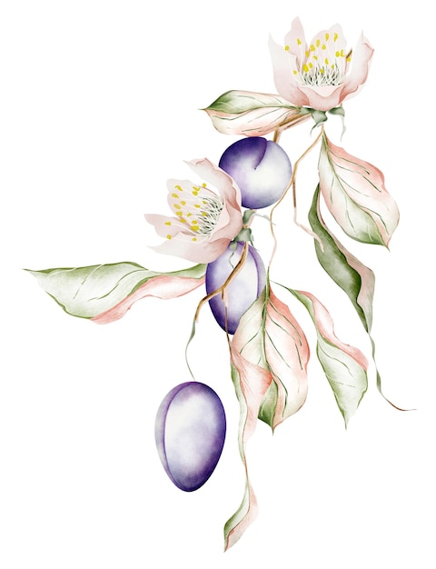 Zdjęcie bujne, eleganckie żyłkowane liście i kwiaty na gałęzi z owocami słowa akwarela ilustracja