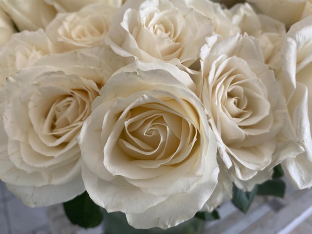 Bukiet białych róż ze spiralnym wzorem na górze.