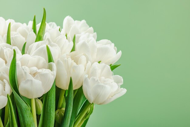 Zdjęcie bukiet białych tulipanów na pastelowo-zielonym tle kwitnących