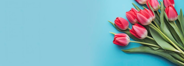 Bukiet czerwonego tulipanu na niebieskim tle Górny widok z przestrzenią do kopiowania
