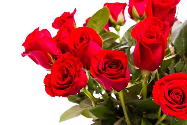 Zdjęcie bukiet czerwonych róż na białym backround.