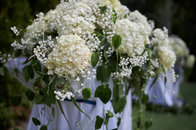 bukiet delikatnych białych kwiatów w zbliżeniu klombu rozmazane tło
