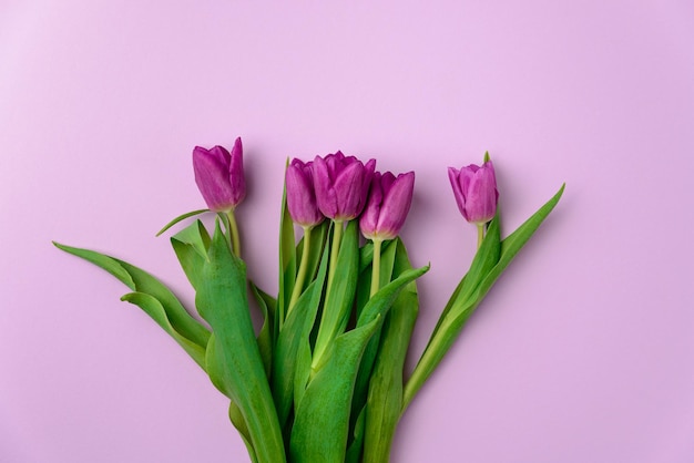 Bukiet Fioletowych Kwiatów Tulipanów Na Fioletowym Tle