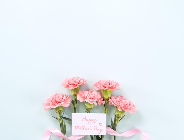Bukiet goździków w tle dzień matki Piękny bladoróżowy bukiet kwiatów na pastelowym niebieskim stole z góry widok płaski leżał projekt przestrzeni kopii